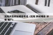 沈阳大型网站建设电话（沈阳 网站建设 详情 推广）