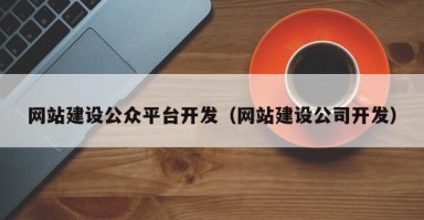 网站建设公众平台开发（网站建设公司开发）