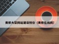 黄骅大型网站建设特价（黄骅在线网）